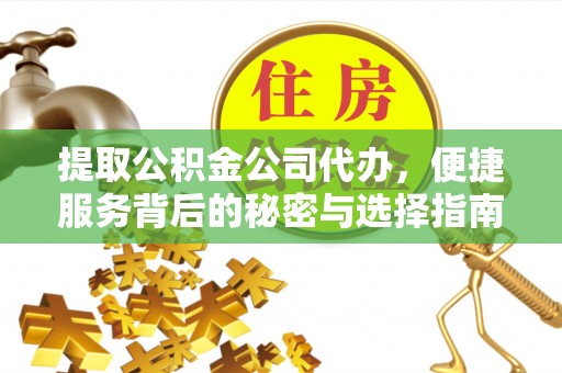 尖山提取公积金公司代办，便捷服务背后的秘密与选择指南
