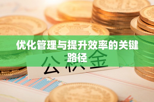 尖山优化管理与提升效率的关键路径