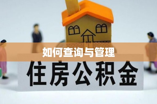 尖山如何查询与管理