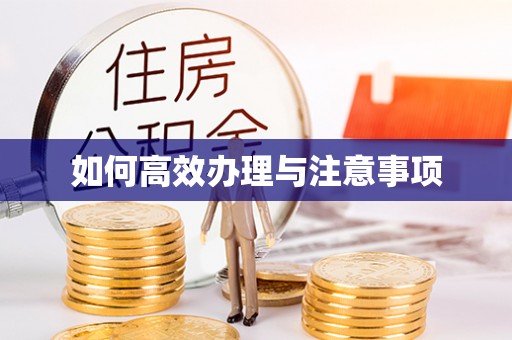 尖山如何高效办理与注意事项