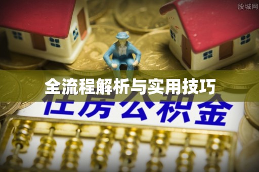 尖山全流程解析与实用技巧