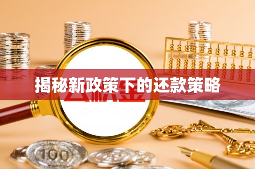 尖山揭秘新政策下的还款策略