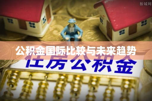尖山公积金国际比较与未来趋势