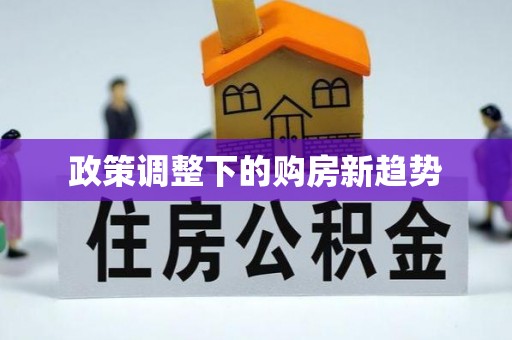 尖山政策调整下的购房新趋势