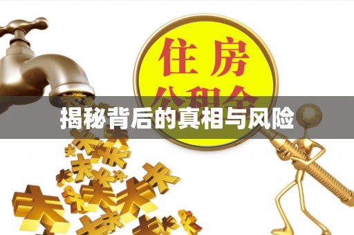 尖山揭秘背后的真相与风险