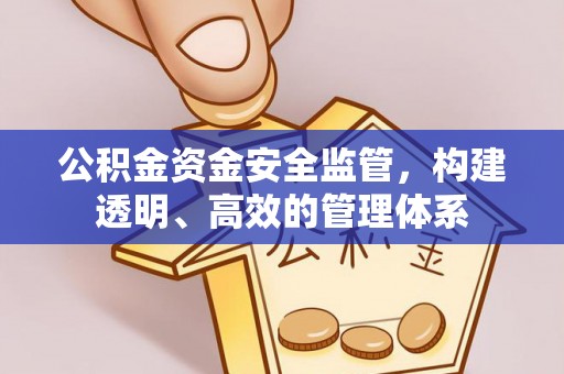尖山公积金资金安全监管，构建透明、高效的管理体系