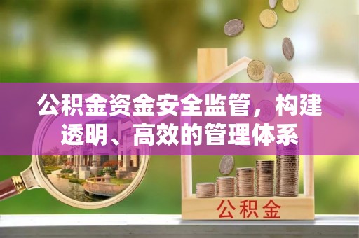 尖山公积金资金安全监管，构建透明、高效的管理体系