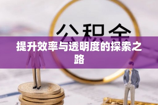尖山提升效率与透明度的探索之路