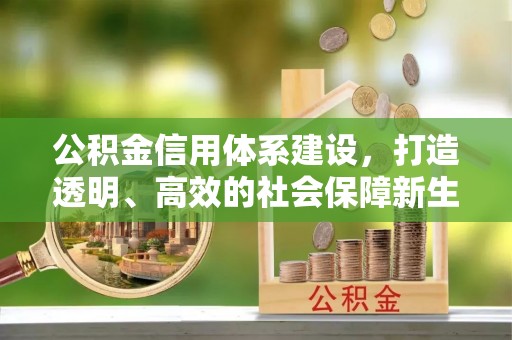 尖山公积金信用体系建设，打造透明、高效的社会保障新生态