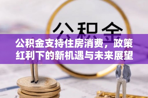 尖山公积金支持住房消费，政策红利下的新机遇与未来展望