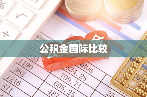 尖山公积金国际比较