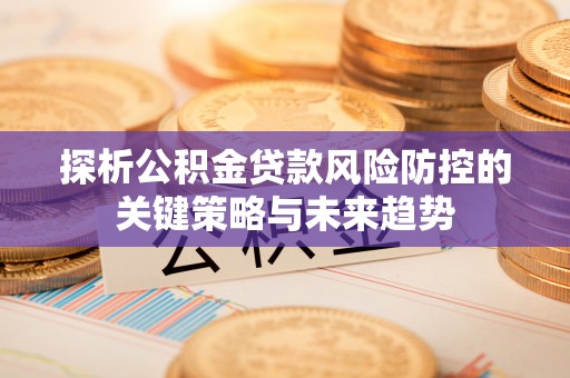 尖山探析公积金贷款风险防控的关键策略与未来趋势