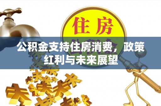 尖山公积金支持住房消费，政策红利与未来展望