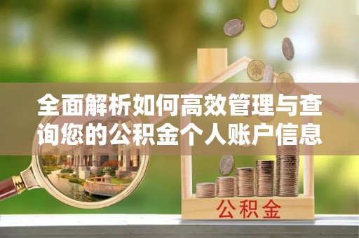 尖山全面解析如何高效管理与查询您的公积金个人账户信息