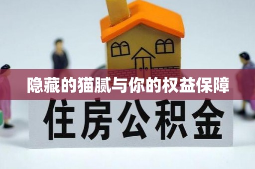 尖山隐藏的猫腻与你的权益保障