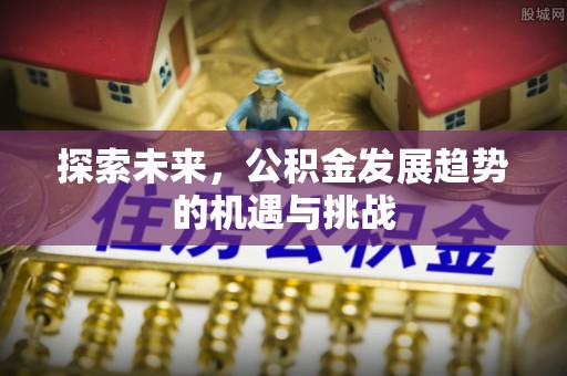 尖山探索未来，公积金发展趋势的机遇与挑战