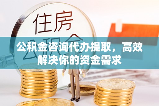 尖山公积金咨询代办提取，高效解决你的资金需求