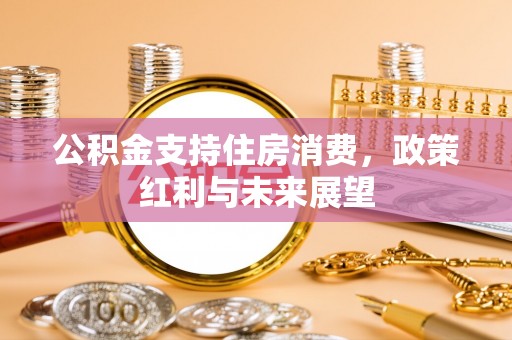 尖山公积金支持住房消费，政策红利与未来展望