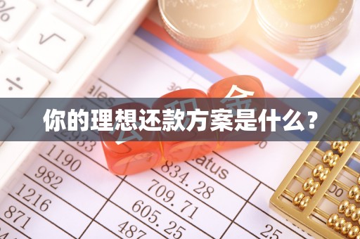 尖山你的理想还款方案是什么？