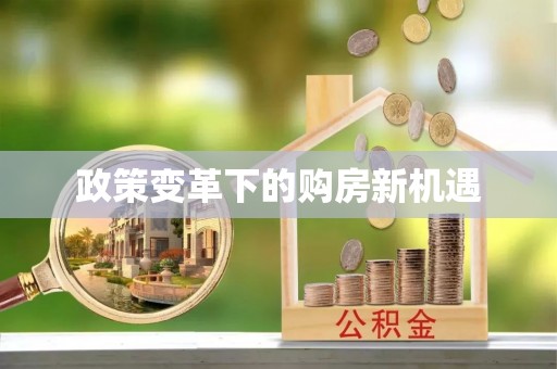 尖山政策变革下的购房新机遇