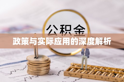 尖山政策与实际应用的深度解析