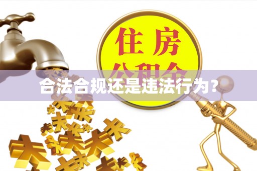 尖山合法合规还是违法行为？