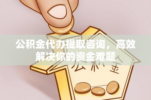 尖山公积金代办提取咨询，高效解决你的资金难题