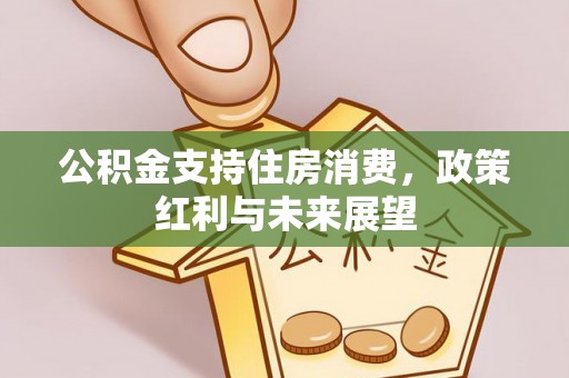 尖山公积金支持住房消费，政策红利与未来展望