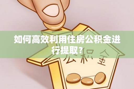 尖山如何高效利用住房公积金进行提取？