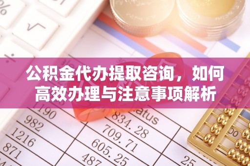 尖山公积金代办提取咨询，如何高效办理与注意事项解析