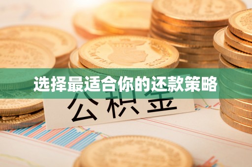 尖山选择最适合你的还款策略