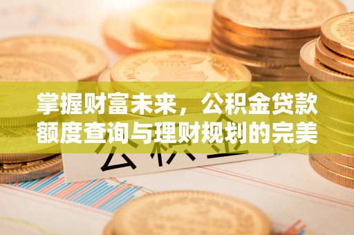 尖山掌握财富未来，公积金贷款额度查询与理财规划的完美结合