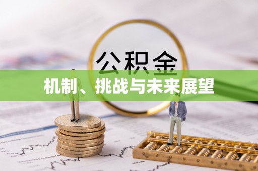 尖山机制、挑战与未来展望